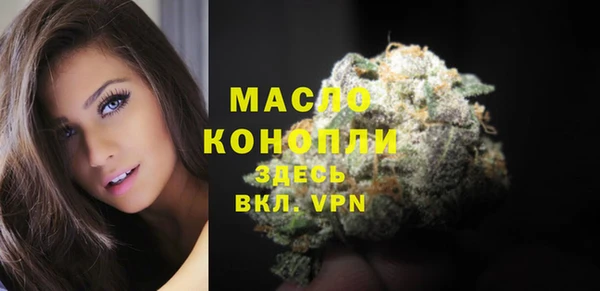 дживик Балахна