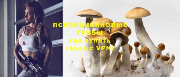 ALPHA PVP Баксан