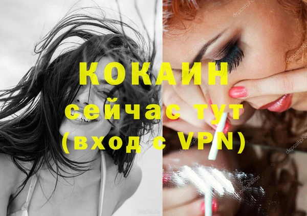 дживик Балахна