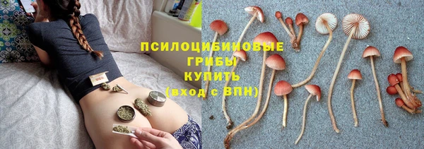 дживик Балахна